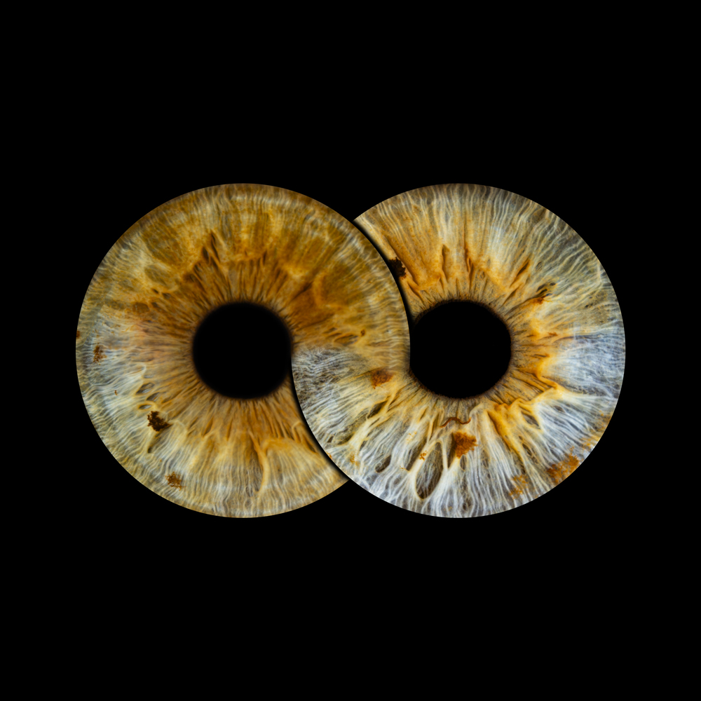 Photographie de deux iris avec un effet infini.