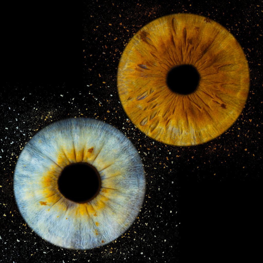 Photographie de deux iris avec un effet étincelle. Un iris est bleu avec du jaune, l'autre marron noisette.