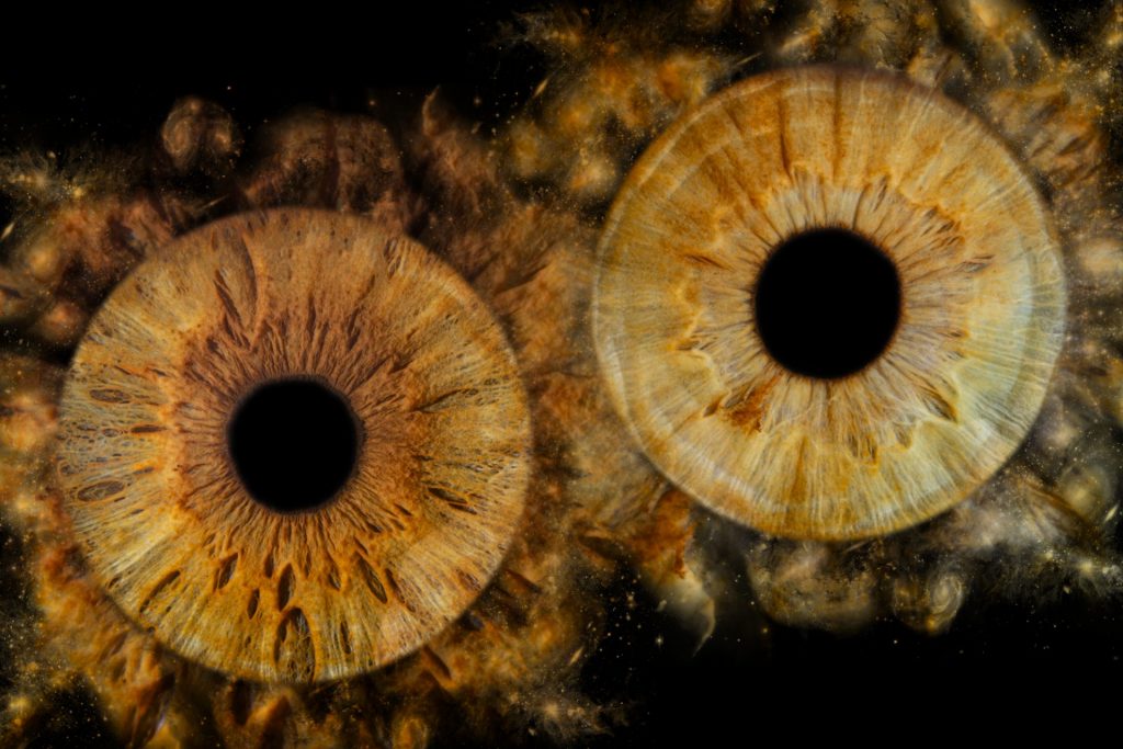 Photographie de deux iris marron d'un couple, avec un effet galaxie autour.
