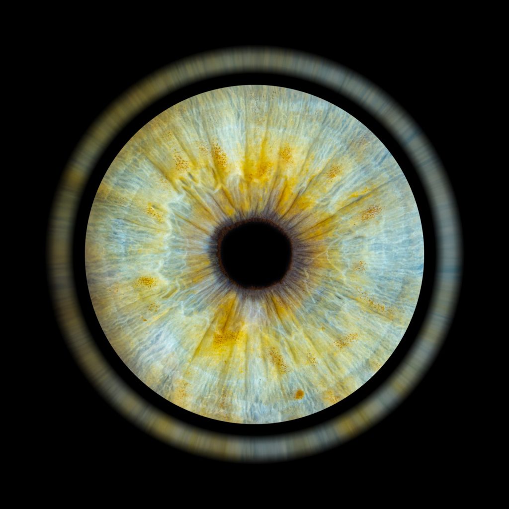 Photo d'un iris bleu avec des tâches jaune, avec l'effet halo.