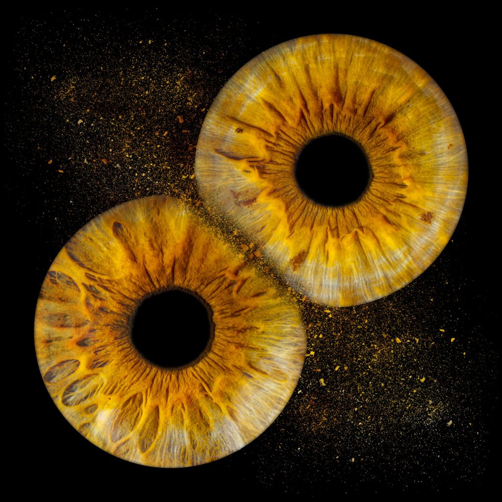 Photo de deux iris jaune et marron avec un effet choc.