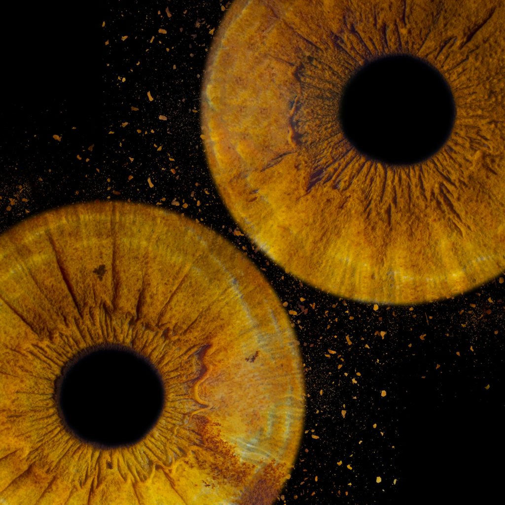 Photo de deux iris marron en gros plan avec un effet d'étincelles.