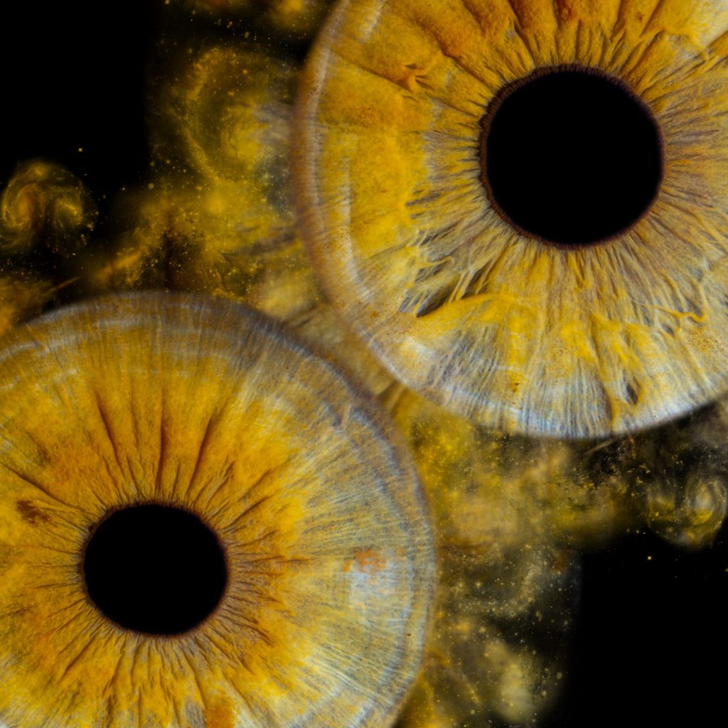 Photo de deux iris jaune en gros plan avec un effet de galaxie.