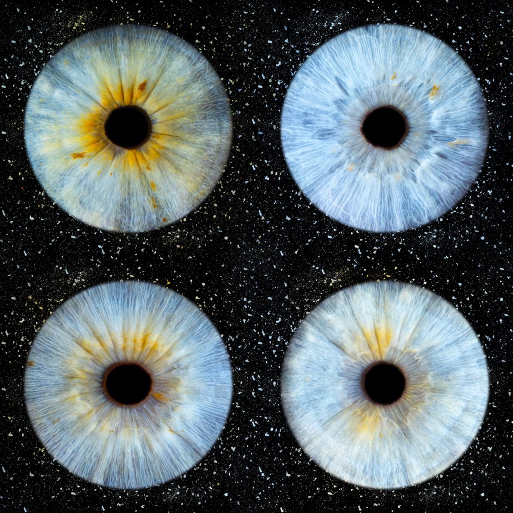 Photographie de quatre iris bleu d'une famille avec un effet étincelle.